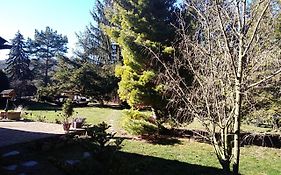 Ferienhaus Zum Vogelnest